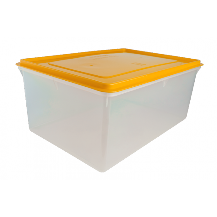 Caja Conservadora Rey # 5 | Multisaba