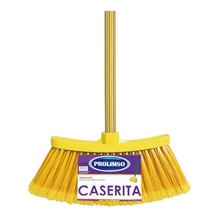caserita Escoba Caserita C/Mango Metálico - Imagen 1