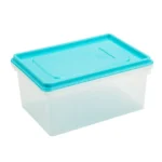 Caja Conservadora Rey # 3