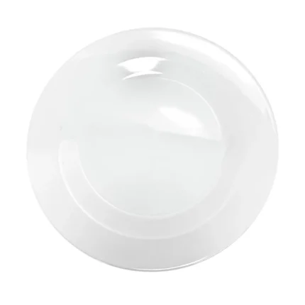Plato Tendido 11" Melamine Clarity