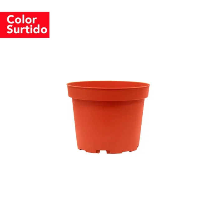 70108218-4 Maceta Pacha 9x7 cm (Color Surtido) - Imagen 4