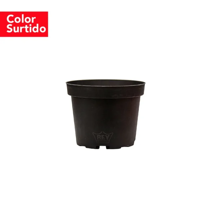 70108218-5 Maceta Pacha 9x7 cm (Color Surtido) - Imagen 5