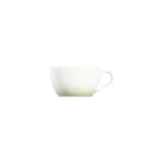 Caja x 12 Tazas Capuccino de Porcelana Reflection Green 270 ml | 9 oz ID Fine
